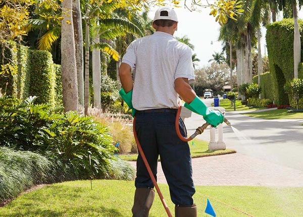 About Ridgefield Park NJ Pest Control Pros